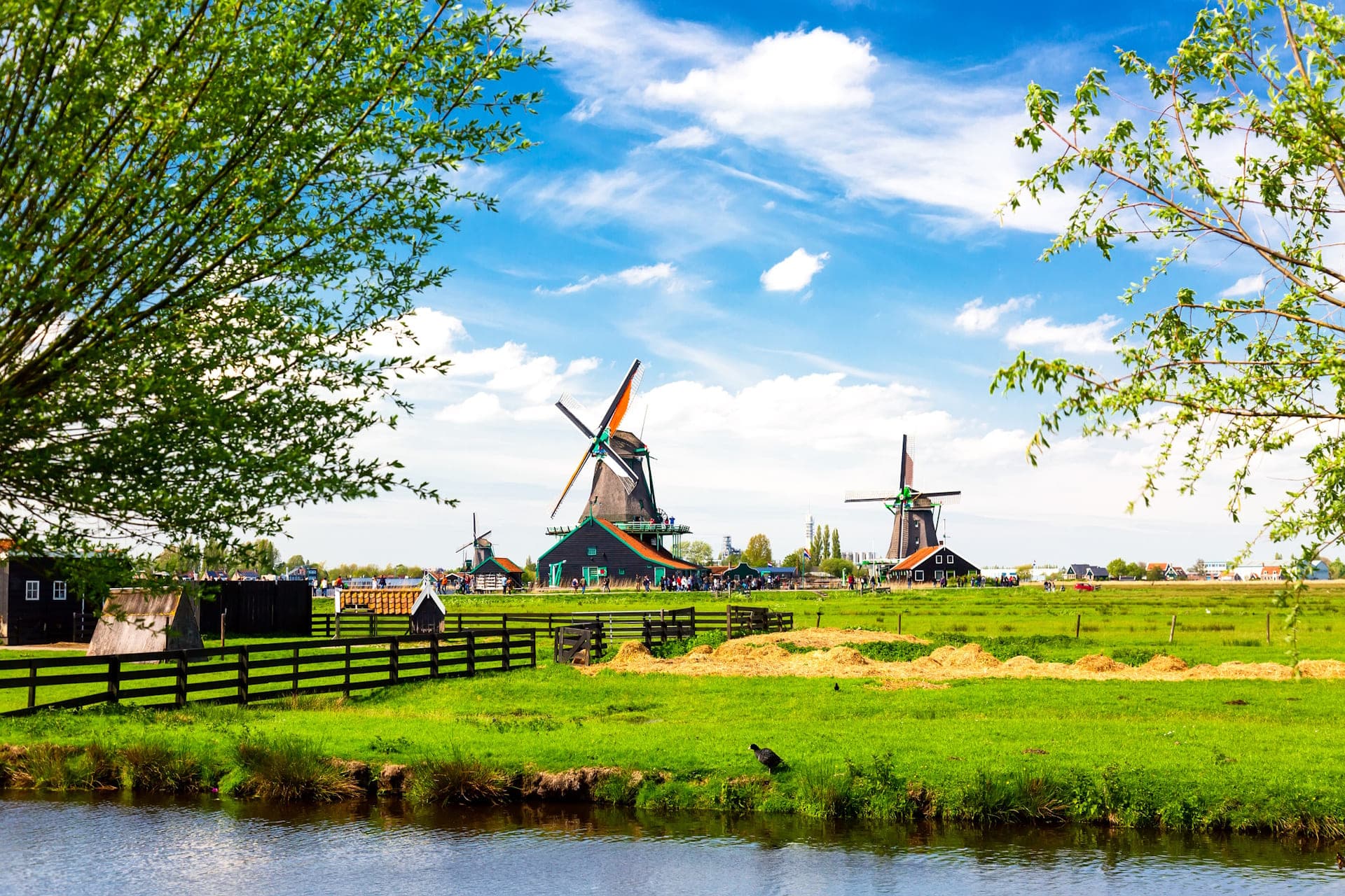 amsterdamin tuulimyllykierros